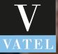 VATEL - Hotel & Tourism Business School logo