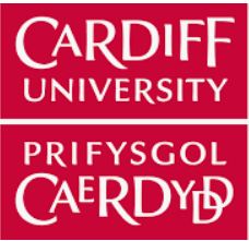 Cardiff University logo