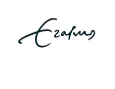 Erasmus University Rotterdam (EUR) logo