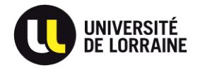 Université de Lorraine-Nancy logo