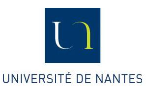 Université de Nantes-Nantes logo