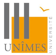 Université de Nîmes-Nîmes logo