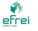 École d'ingénieurs des Technologies de l'information et de la Communication-Villejuif logo