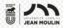 Université Jean Moulin Lyon 3-Lyon logo