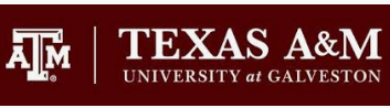 Texas A&M University at Galveston logo