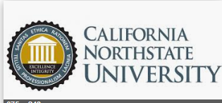 North State Medical University logo
