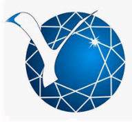 North-Eastern Federal University logo