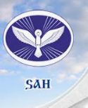 Samara Academy of Humanities logo