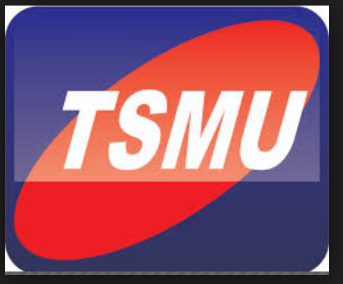 Tver State Medical University logo