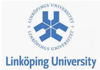 Linköpings Universitet logo